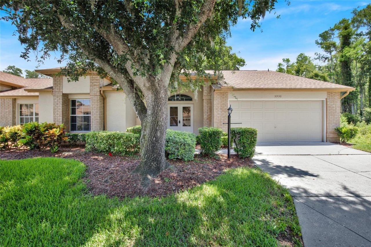 5930 Precious View Court, New Port Richey, FL 34655 Main Photo