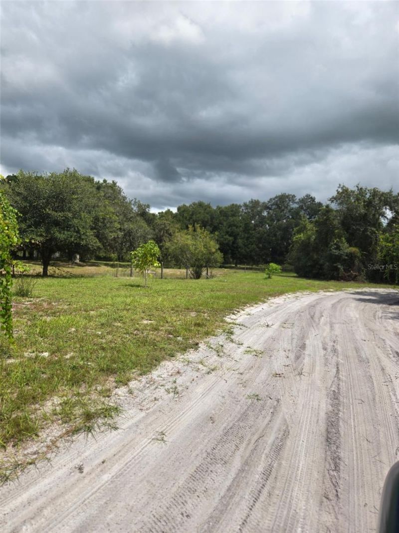 885 Lake Marian Road, Kenansville, FL 34739 Photo