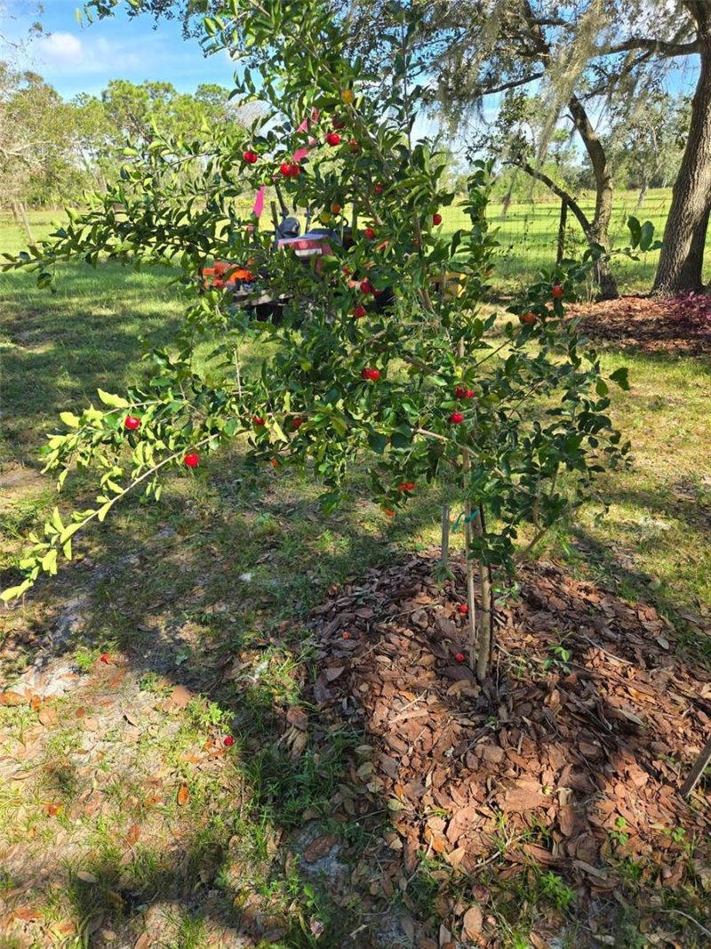 885 Lake Marian Road, Kenansville, FL 34739 Photo