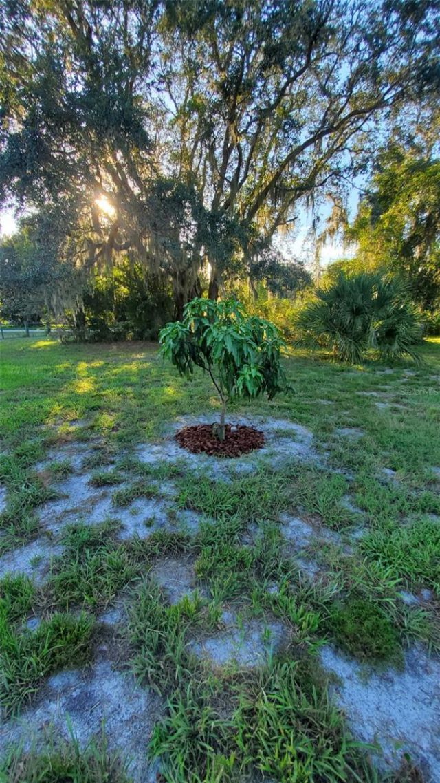 885 Lake Marian Road, Kenansville, FL 34739 Photo