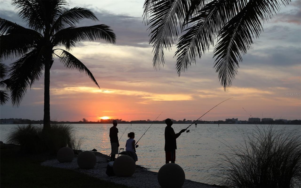 1300 Benjamin Franklin Drive, Unit 709, Sarasota, FL 34236 Photo