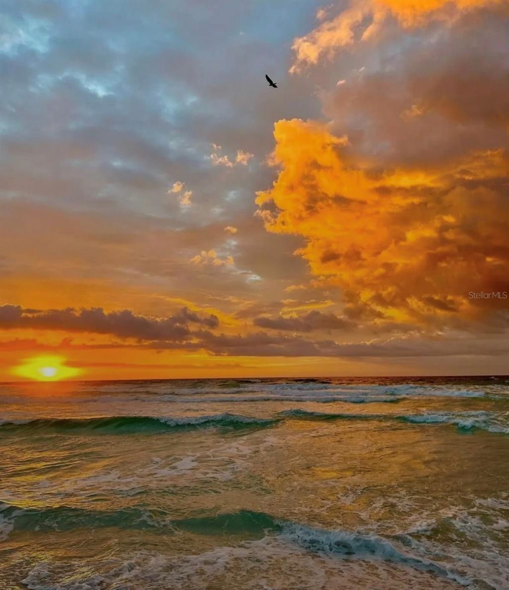 1300 Benjamin Franklin Drive, Unit 709, Sarasota, FL 34236 Photo