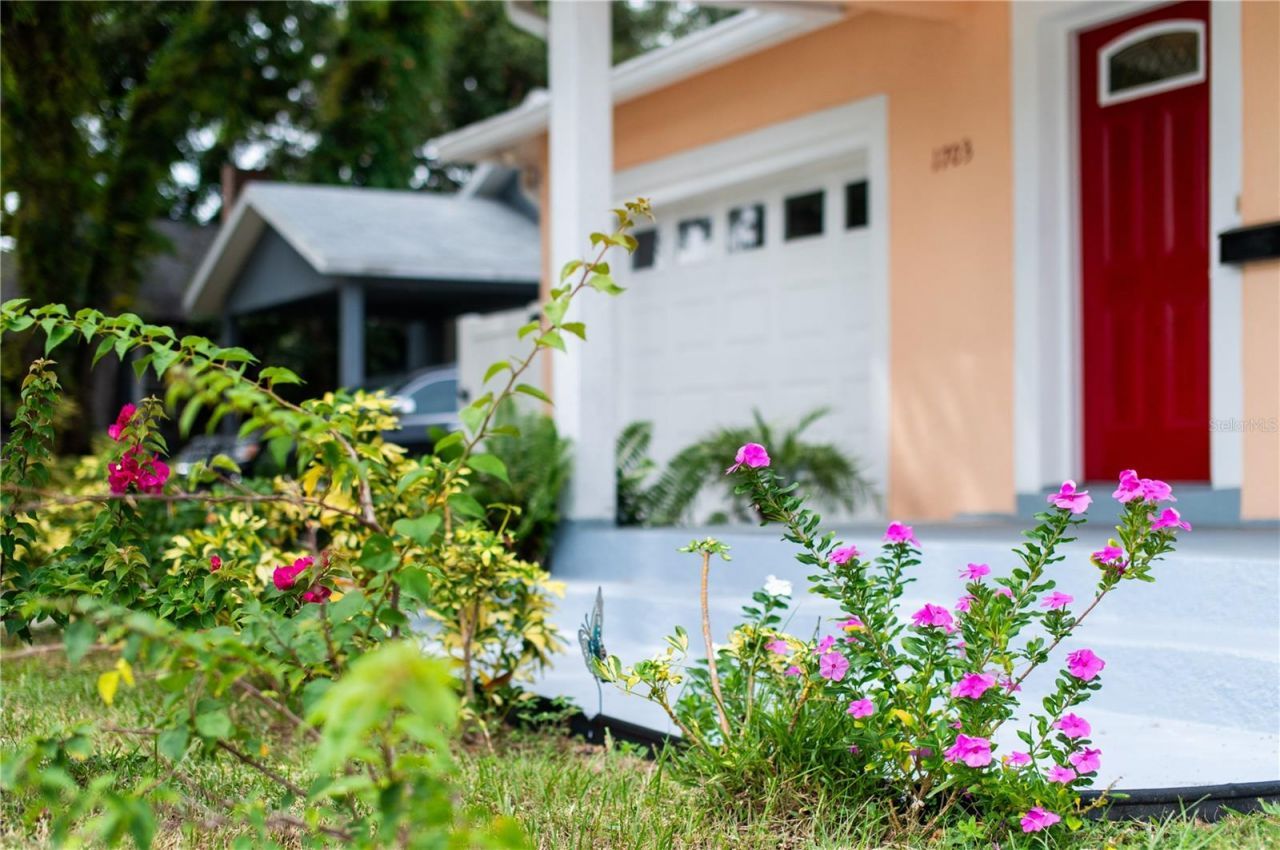 1703 12th Street S, Saint Petersburg, FL 33705 Photo