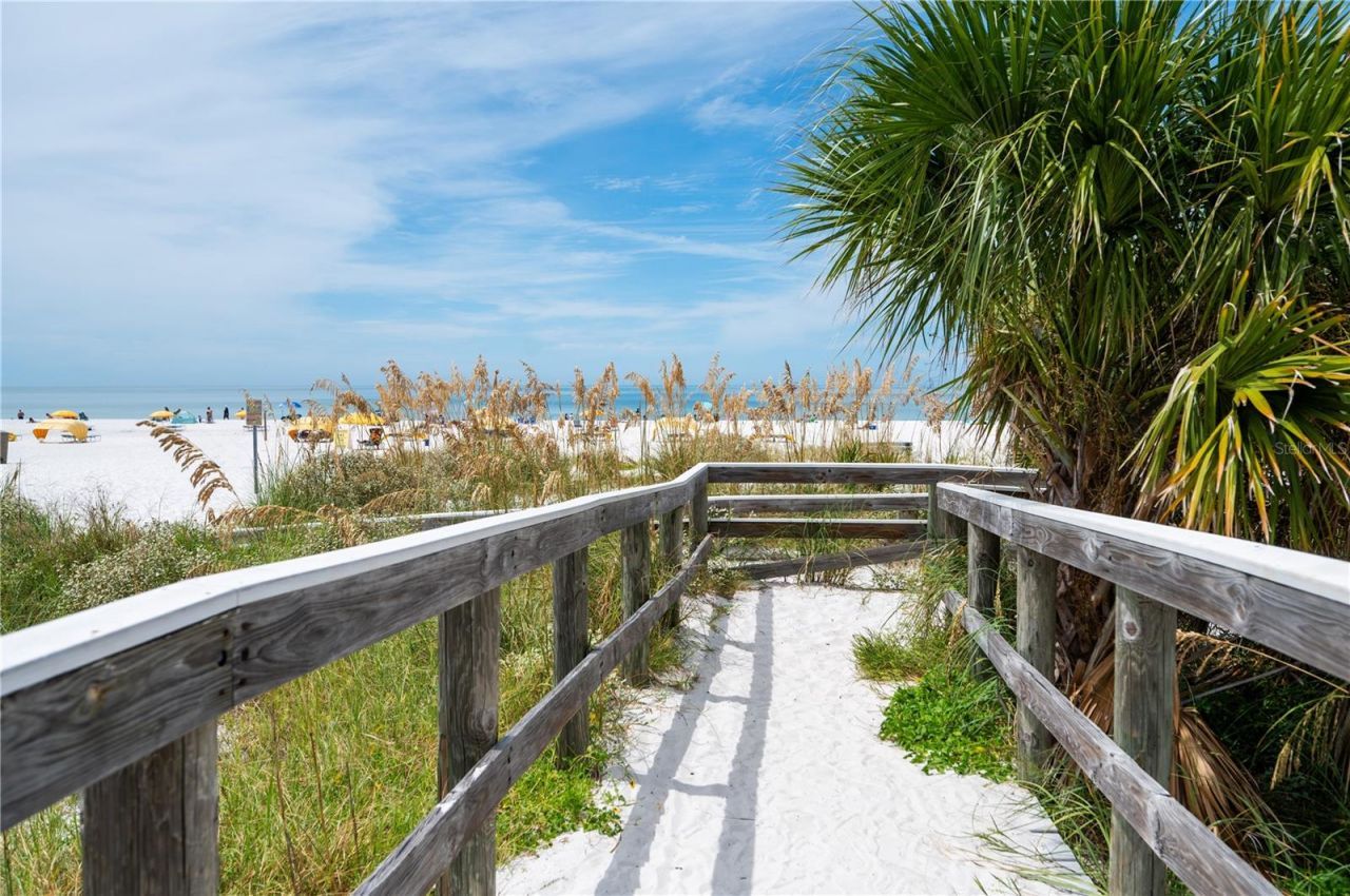 1703 12th Street S, Saint Petersburg, FL 33705 Photo