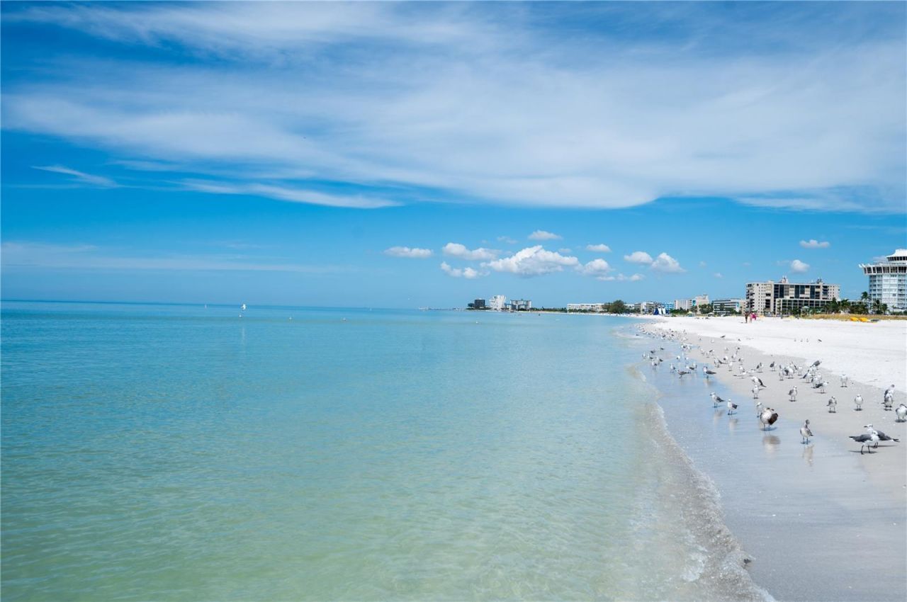 1703 12th Street S, Saint Petersburg, FL 33705 Photo