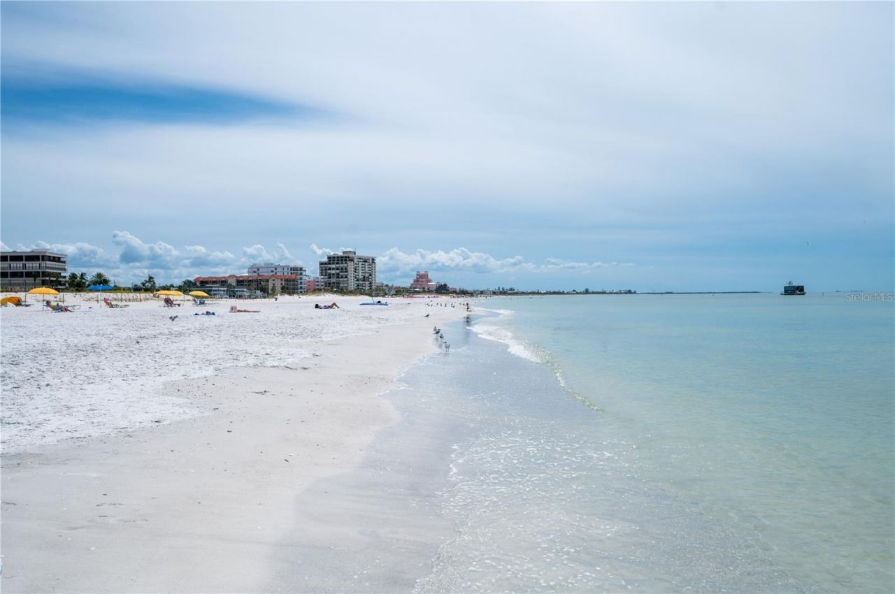 1703 12th Street S, Saint Petersburg, FL 33705 Photo