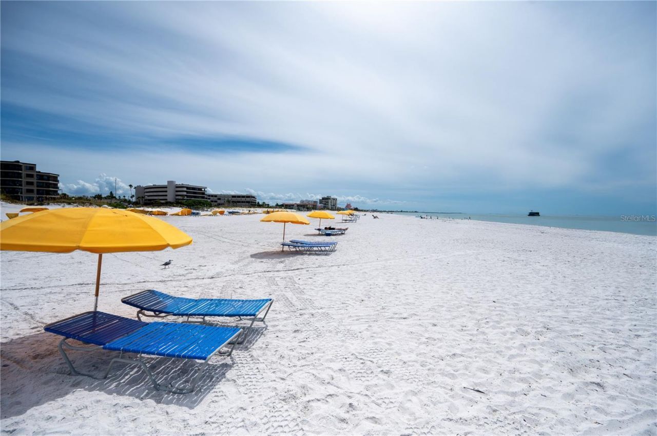 1703 12th Street S, Saint Petersburg, FL 33705 Photo