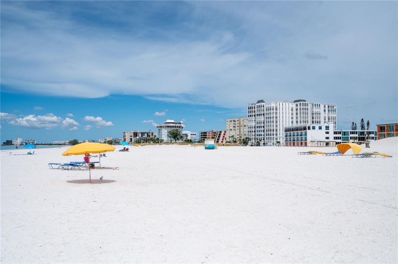 1703 12th Street S, Saint Petersburg, FL 33705 Photo