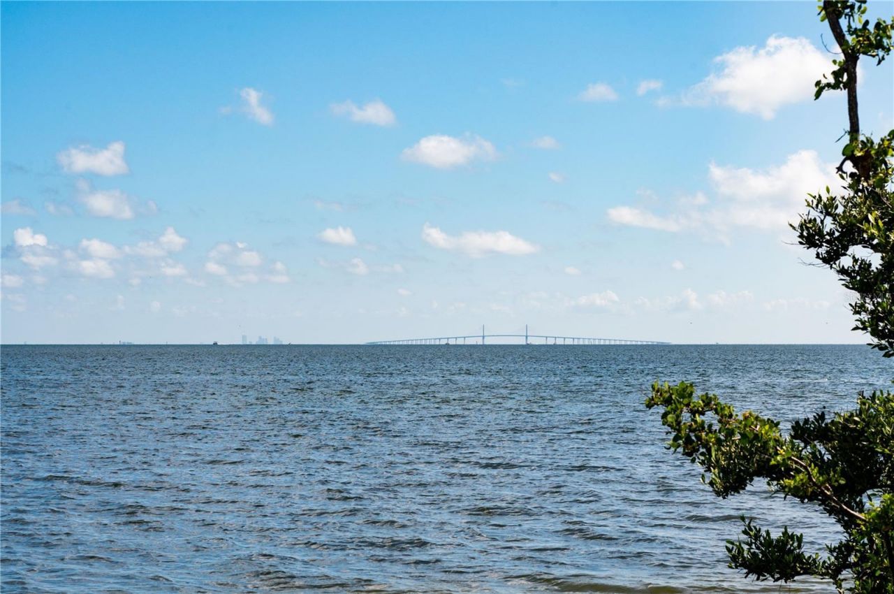 1703 12th Street S, Saint Petersburg, FL 33705 Photo