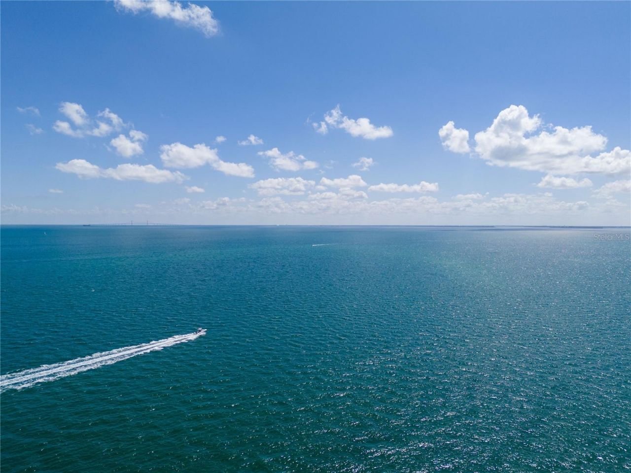 1703 12th Street S, Saint Petersburg, FL 33705 Photo