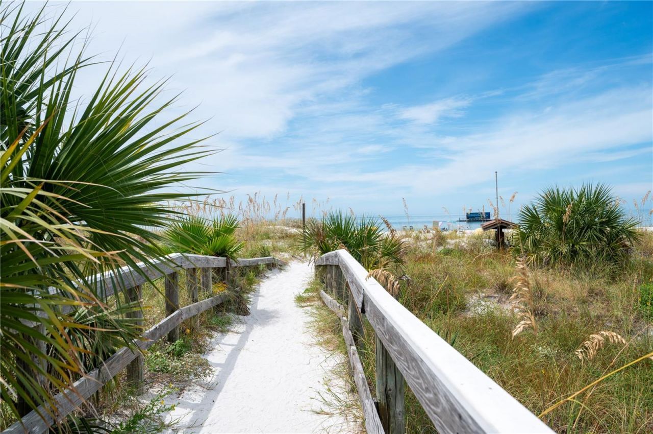 1703 12th Street S, Saint Petersburg, FL 33705 Photo