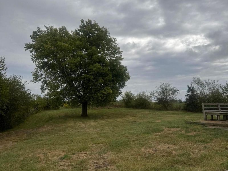 2397 Hidy Road NW, Jeffersonville, OH 43128 Photo 15