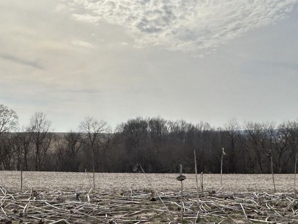 Lot 28 Ridge Point Estates, Mineral Point, WI 53565