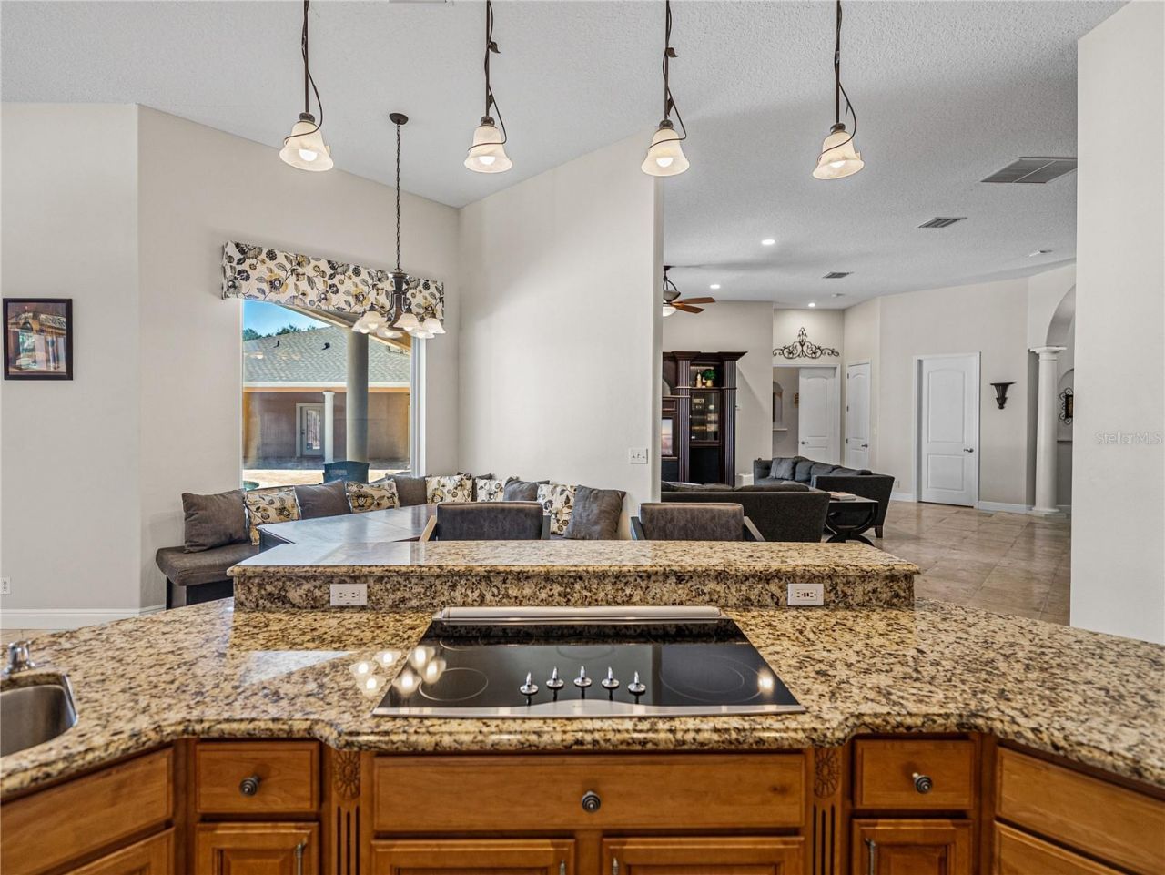 31511 Saddle Lane, Wesley Chapel, FL 33543 Photo