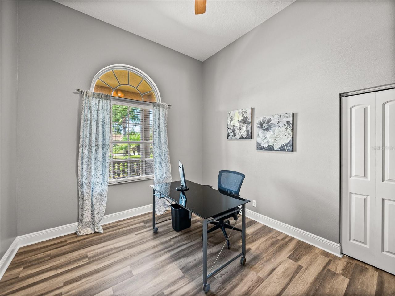 31511 Saddle Lane, Wesley Chapel, FL 33543 Photo