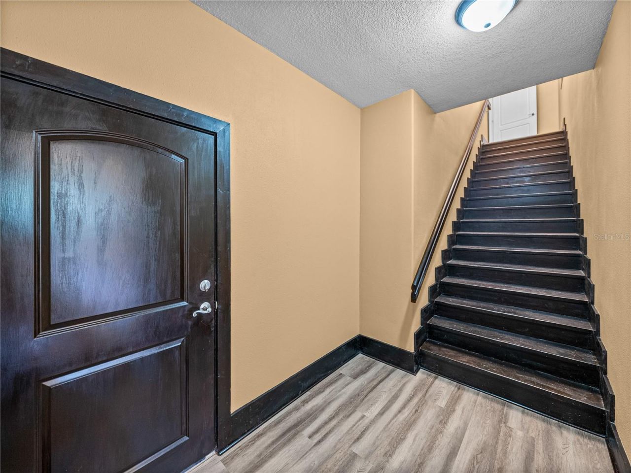 31511 Saddle Lane, Wesley Chapel, FL 33543 Photo