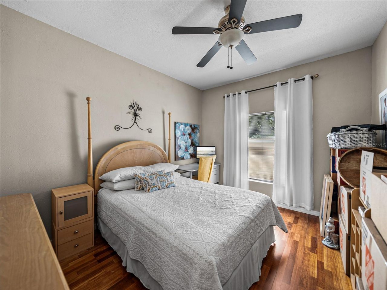 31511 Saddle Lane, Wesley Chapel, FL 33543 Photo