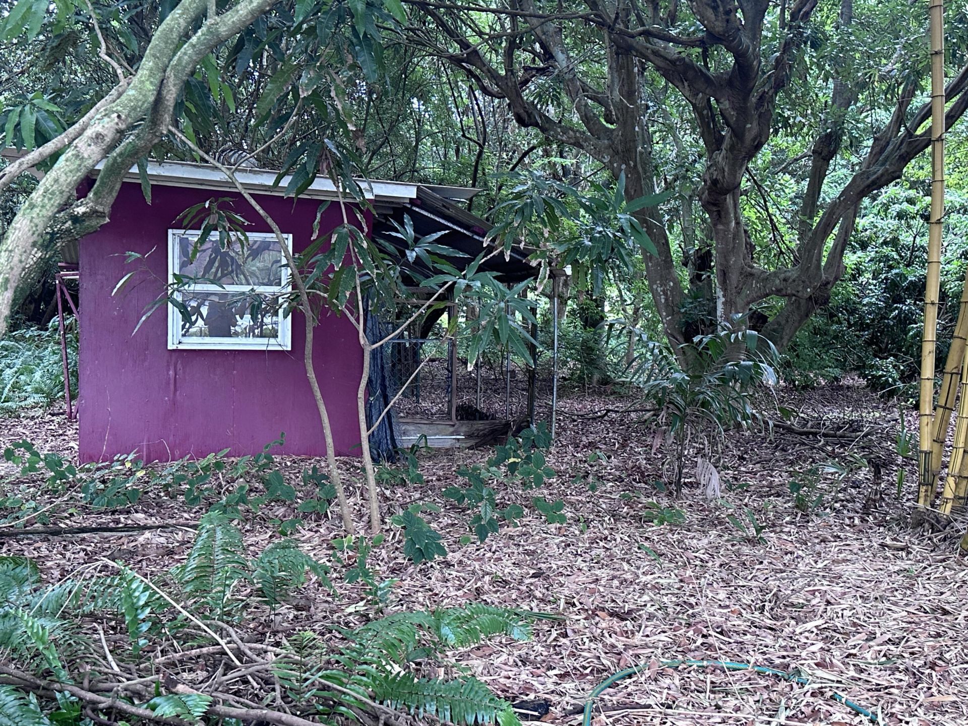 0000 NW 7th Court, Boynton Beach, FL 33426 Photo