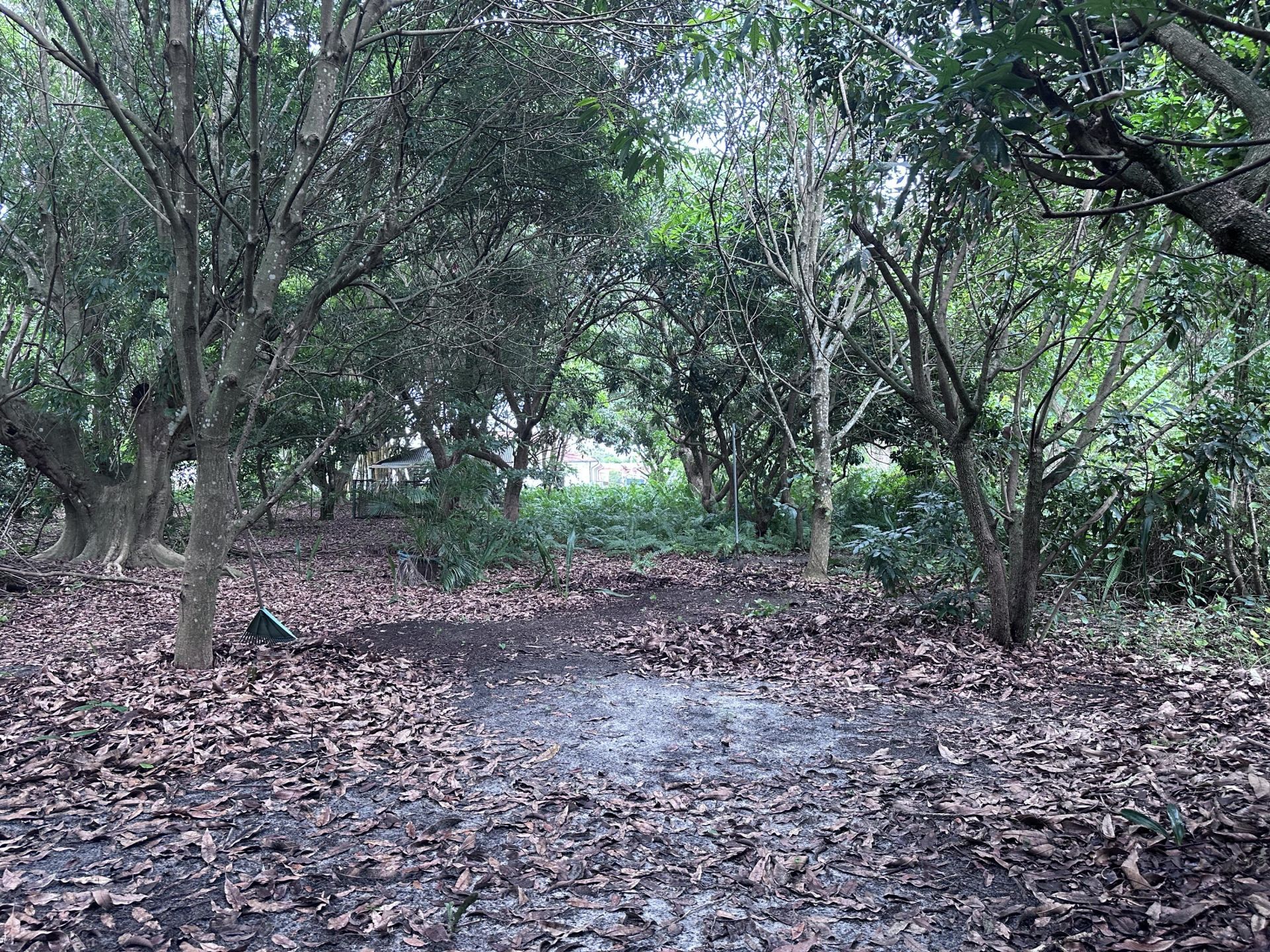 0000 NW 7th Court, Boynton Beach, FL 33426 Photo