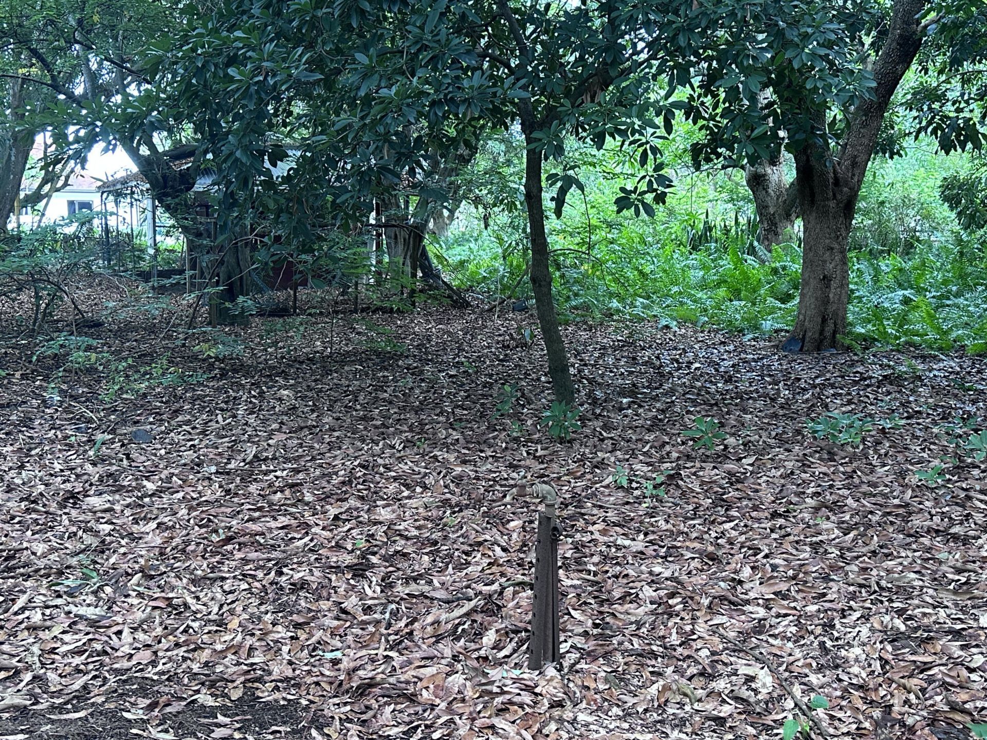 0000 NW 7th Court, Boynton Beach, FL 33426 Photo