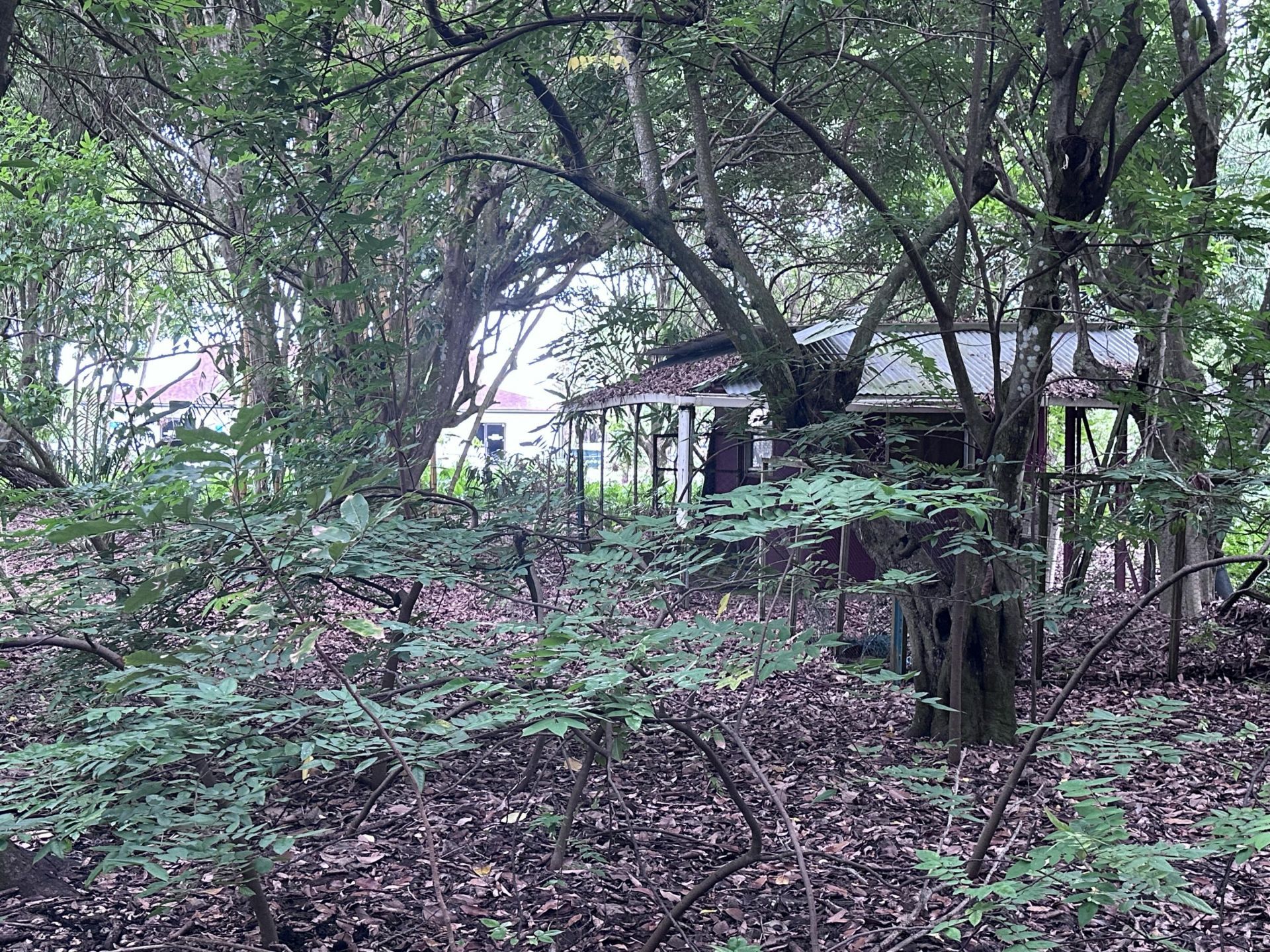 0000 NW 7th Court, Boynton Beach, FL 33426 Photo