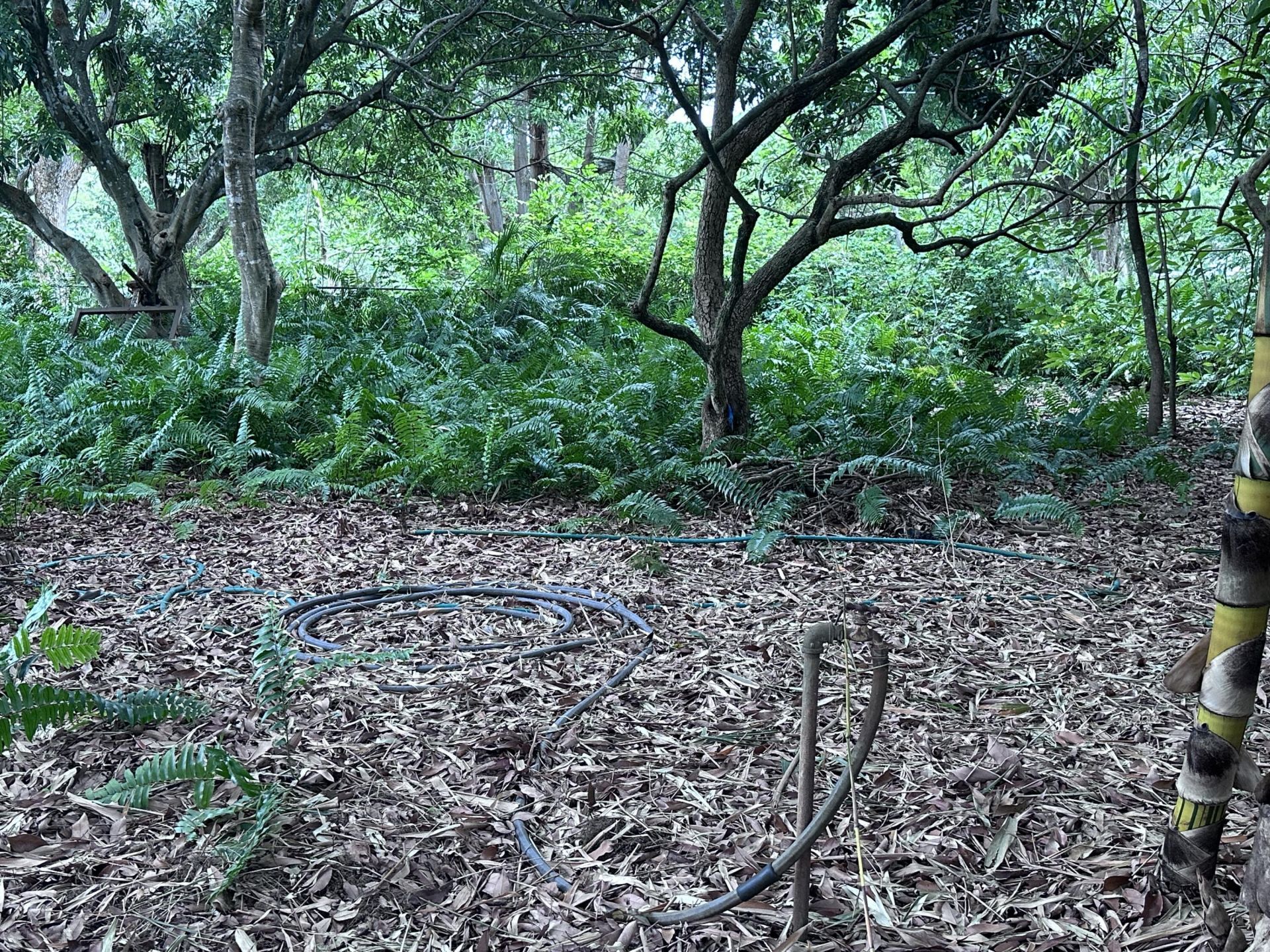 0000 NW 7th Court, Boynton Beach, FL 33426 Photo