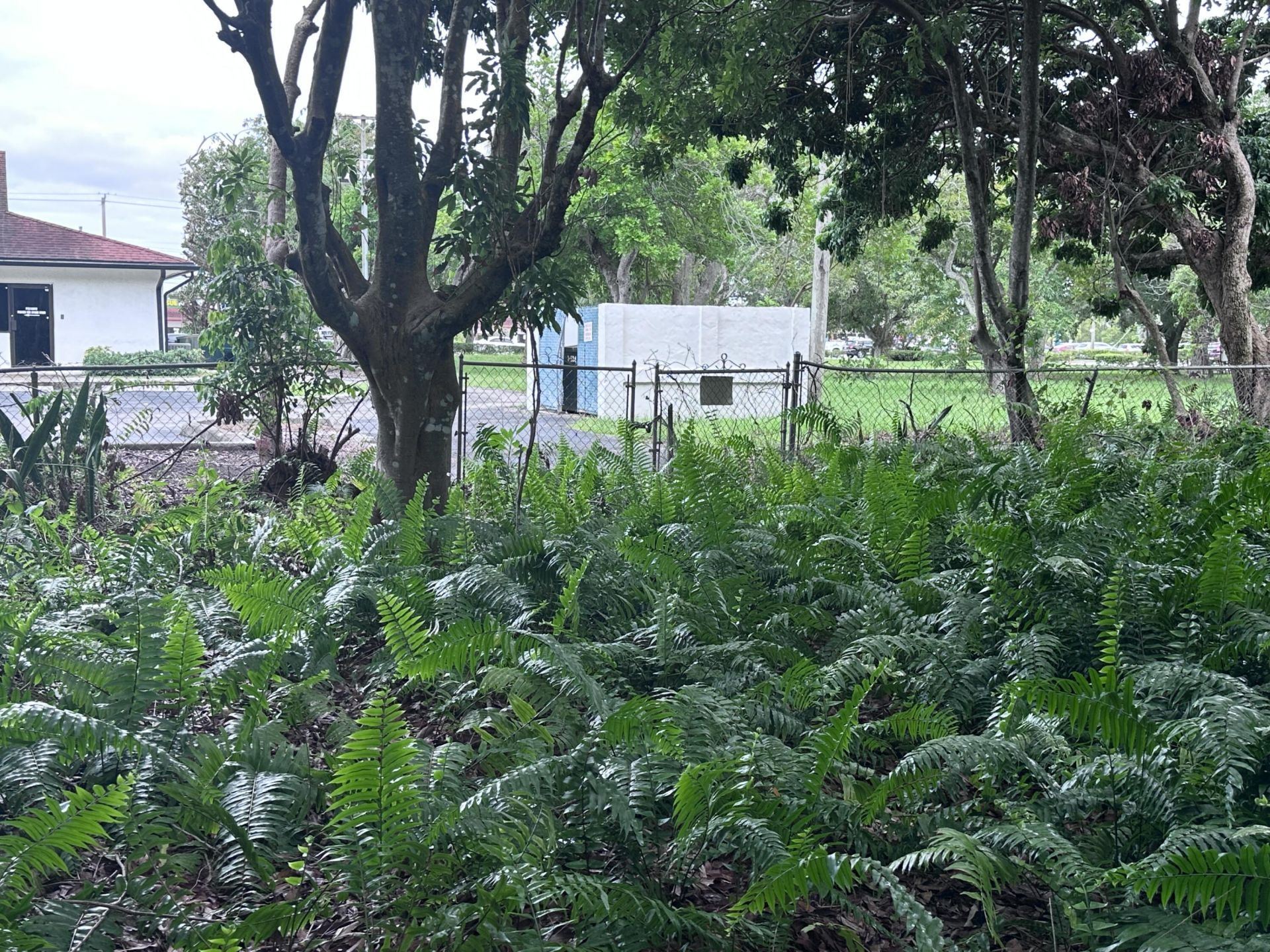 0000 NW 7th Court, Boynton Beach, FL 33426 Photo