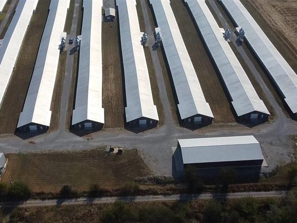 361 County Highway 405, Sikeston, MO 63801