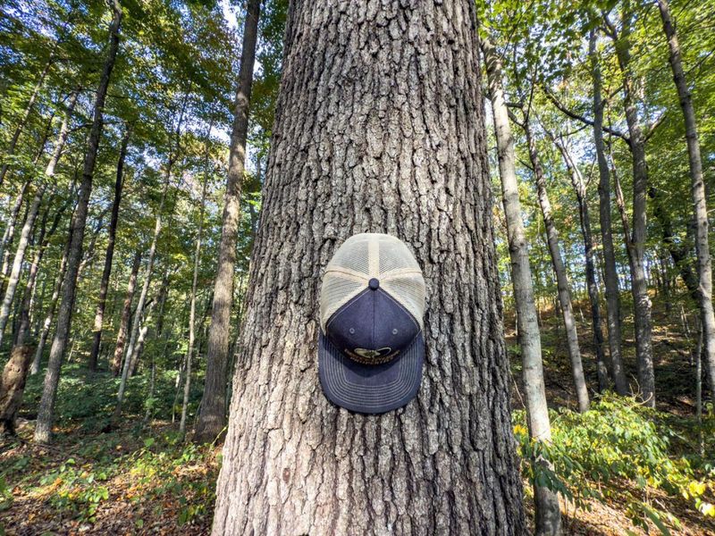 Tract 1 Perry Ridge Rd , Wilkesville, OH 45695 Photo 10