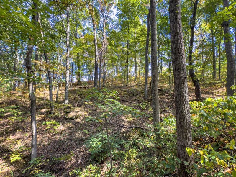 Tract 1 Perry Ridge Rd , Wilkesville, OH 45695 Photo 11