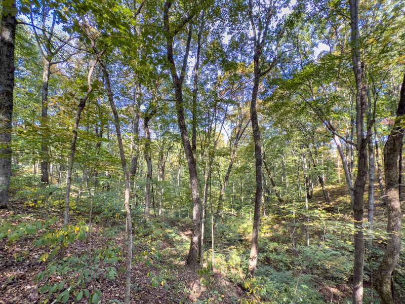 Tract 1 Perry Ridge Rd , Wilkesville, OH 45695 Photo 12