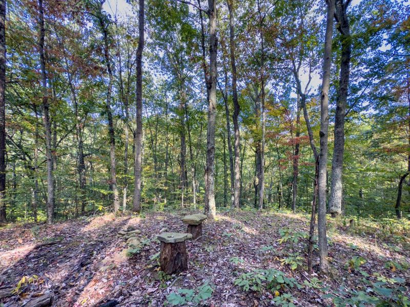 Tract 1 Perry Ridge Rd , Wilkesville, OH 45695 Photo 13