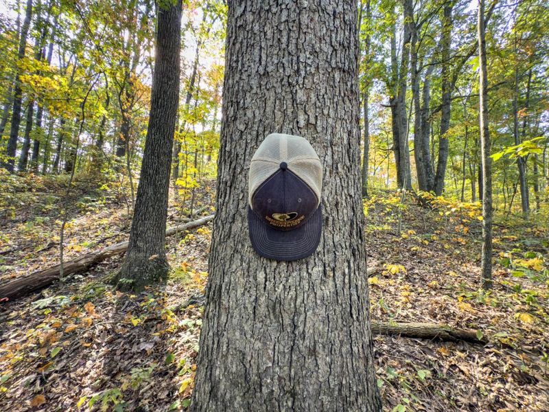 Tract 1 Perry Ridge Rd , Wilkesville, OH 45695 Photo 15