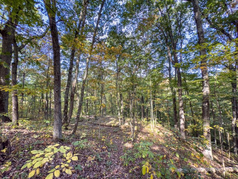 Tract 1 Perry Ridge Rd , Wilkesville, OH 45695 Photo 16