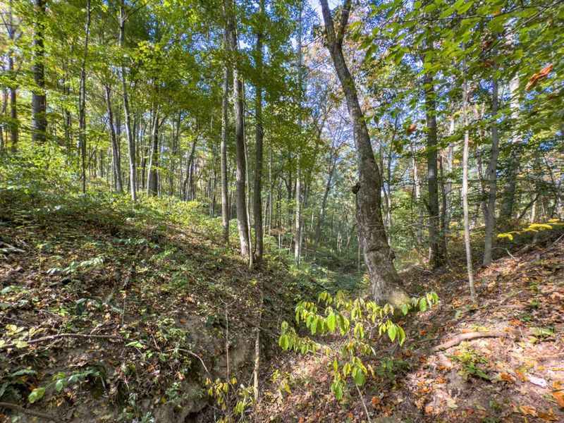 Tract 1 Perry Ridge Rd , Wilkesville, OH 45695 Photo 17