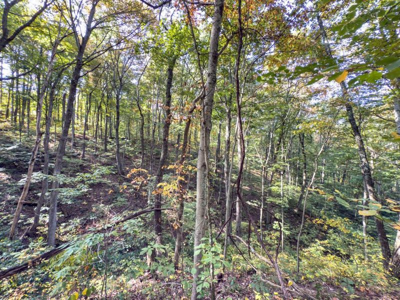 Tract 1 Perry Ridge Rd , Wilkesville, OH 45695 Photo 18