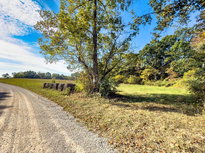 Tract 1 Perry Ridge Rd , Wilkesville, OH 45695 Photo 4