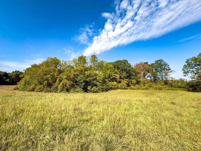 Tract 1 Perry Ridge Rd , Wilkesville, OH 45695 Photo 8