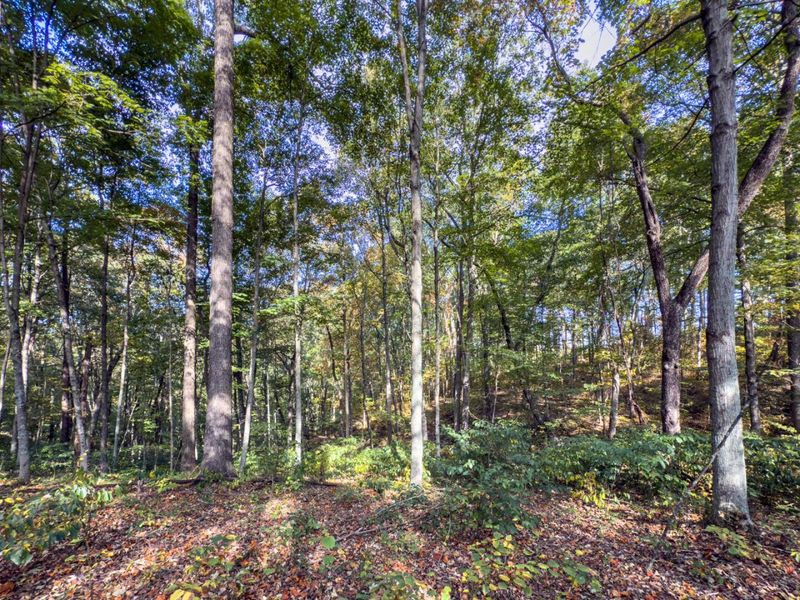 Tract 1 Perry Ridge Rd , Wilkesville, OH 45695 Photo 9