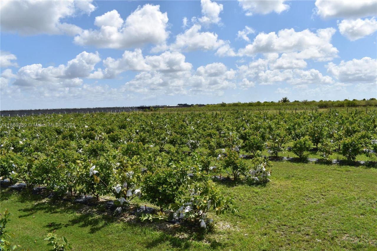 304000 SW 228th Ve, Homestead, FL 33030 Photo