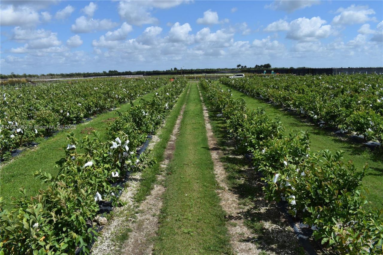 304000 SW 228th Ve, Homestead, FL 33030 Photo