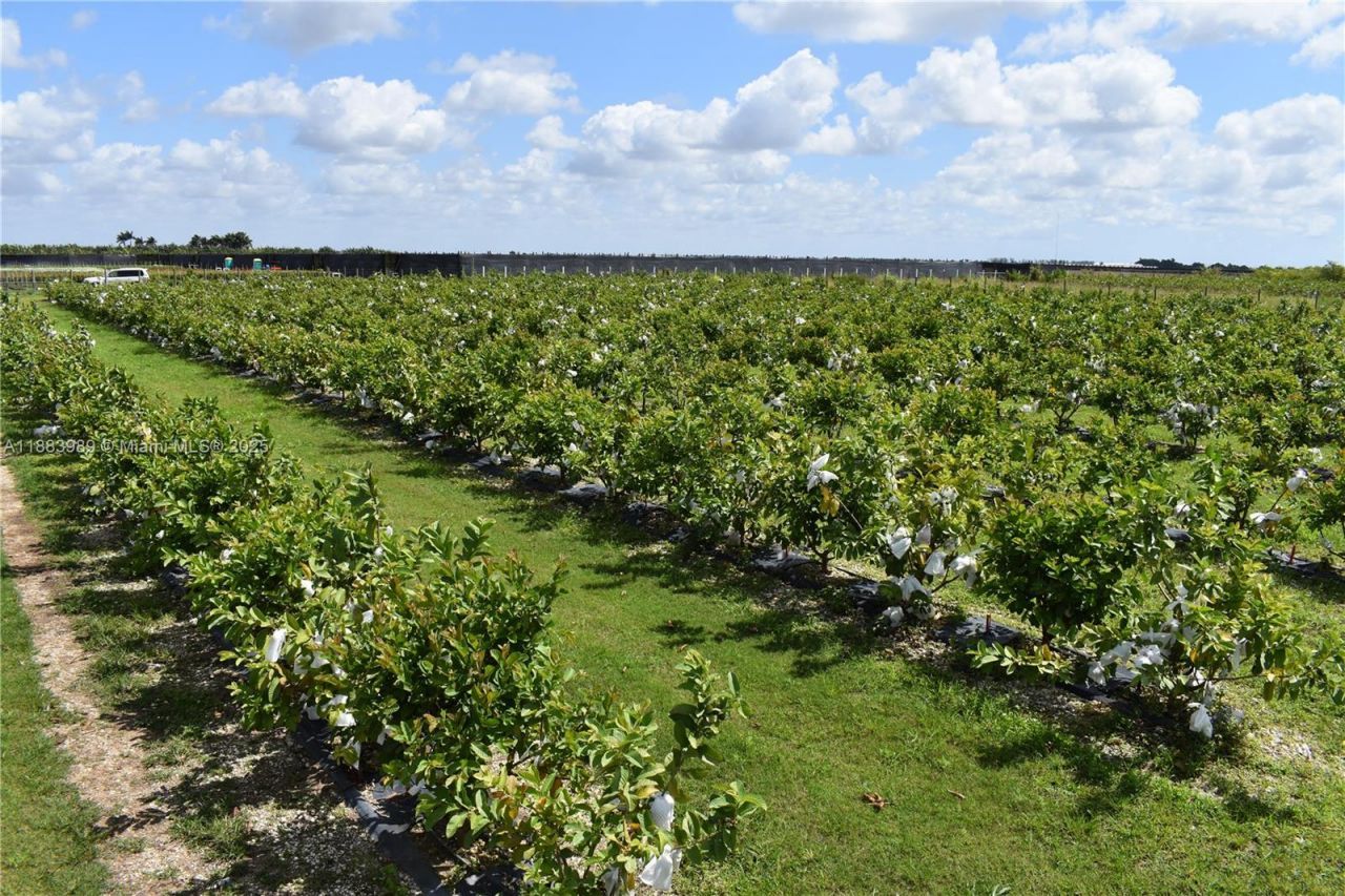 304000 SW 228th Ve, Homestead, FL 33030 Photo