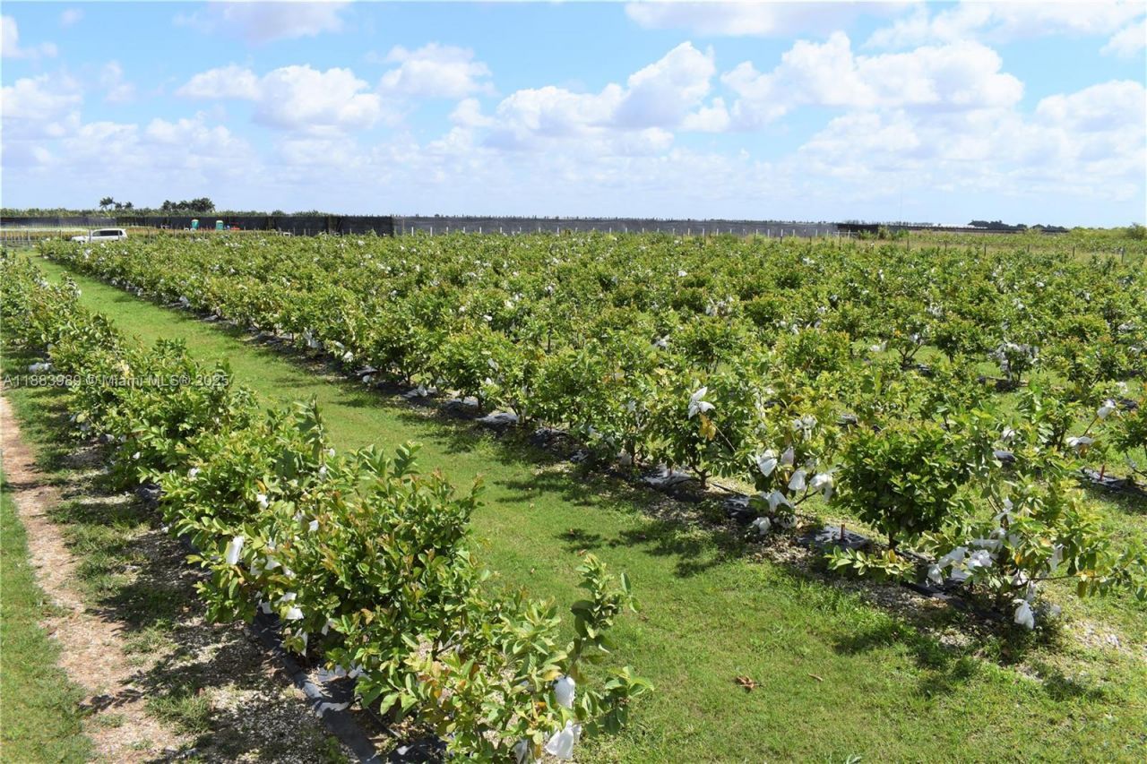 304000 SW 228th Ve, Homestead, FL 33030 Photo