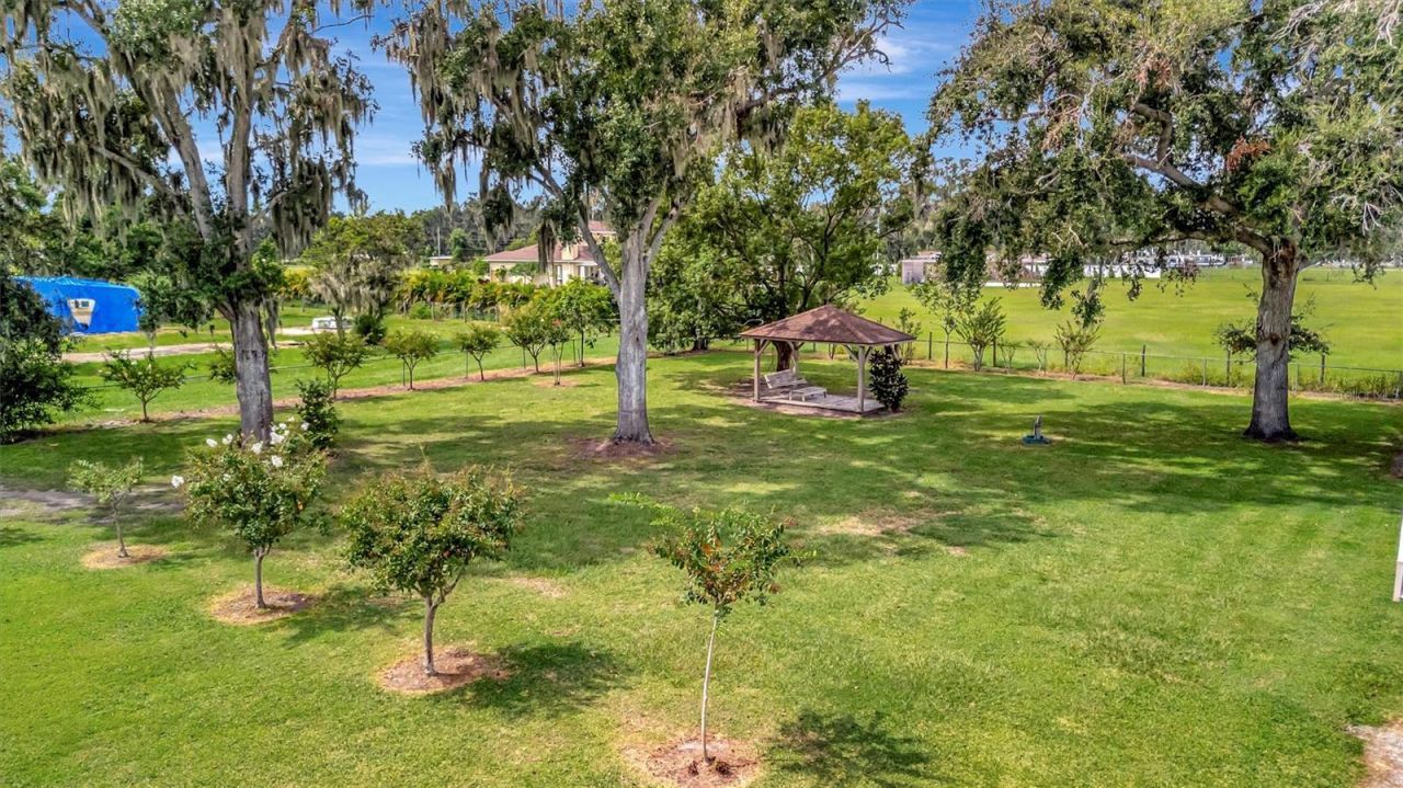 7015 Spears Road, Plant City, FL 33567 Photo