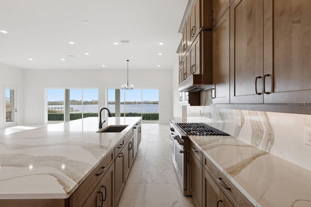 14168 Larkspur Lake Drive, Winter Garden, FL 34787 Photo