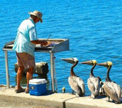 469 NW Blue Lake Drive, Port Saint Lucie, FL 34986 Photo