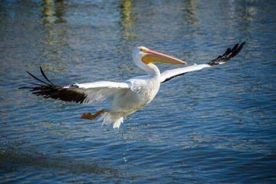 469 NW Blue Lake Drive, Port Saint Lucie, FL 34986 Photo