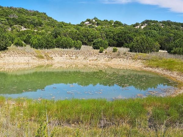 TBD-17.6 Acres Fm 1690, Gatesville, TX 76528