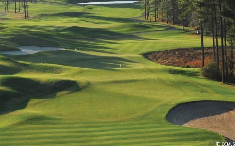 1031 Clamour Ct. Photo 12