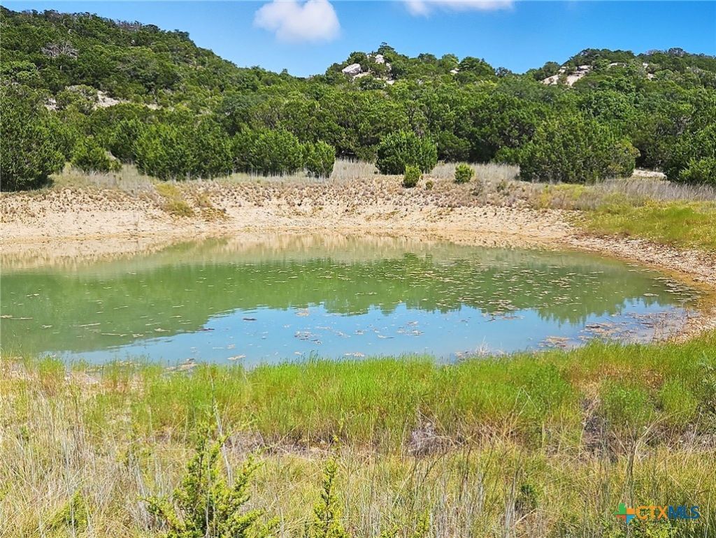 Tbd-17.6 Acres Fm 1690, Gatesville, TX 76528 Main Photo